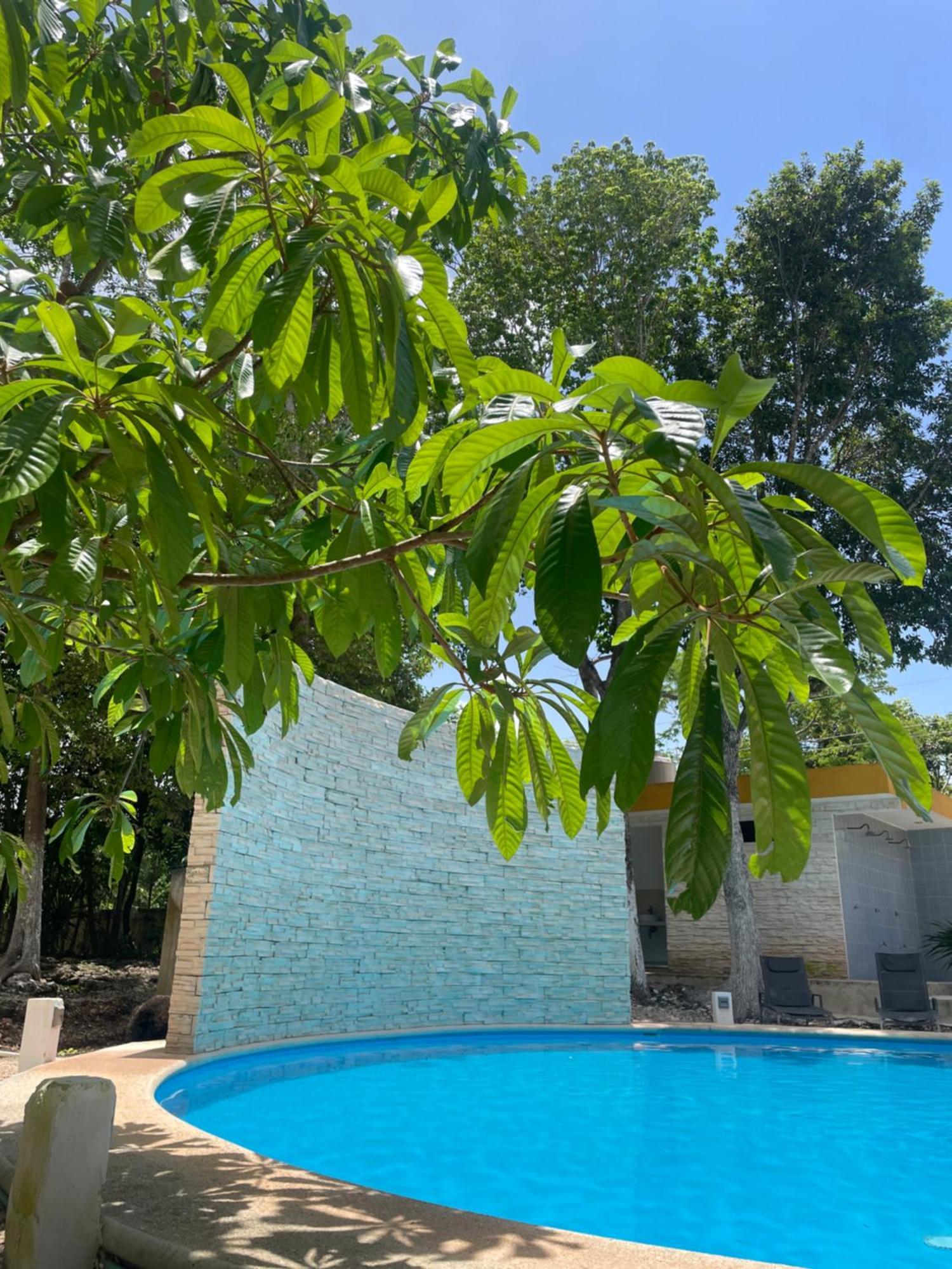 Ranch Las Chulas Hotel And Restaurant Puerto Morelos Buitenkant foto